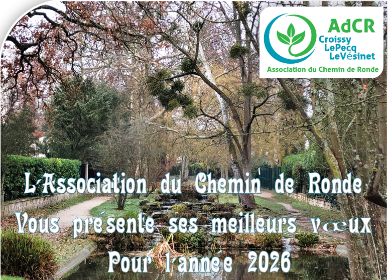 actualites-112